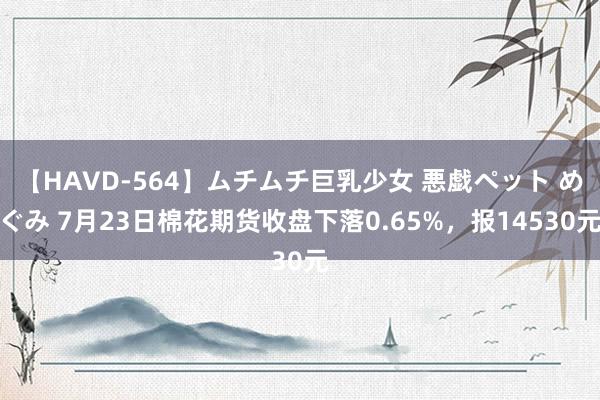 【HAVD-564】ムチムチ巨乳少女 悪戯ペット めぐみ 7月23日棉花期货收盘下落0.65%，报14530元