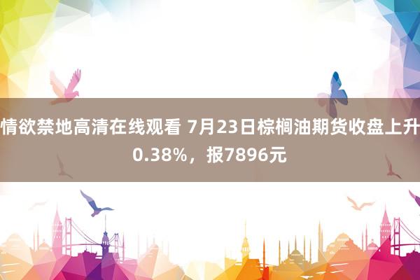 情欲禁地高清在线观看 7月23日棕榈油期货收盘上升0.38%，报7896元