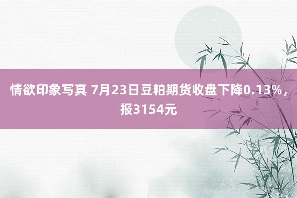 情欲印象写真 7月23日豆粕期货收盘下降0.13%，报3154元