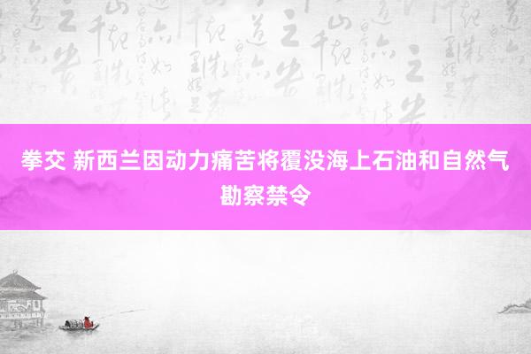 拳交 新西兰因动力痛苦将覆没海上石油和自然气勘察禁令