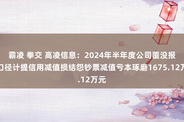 霸凌 拳交 高凌信息：2024年半年度公司覆没报表口径计提信用减值损结怨钞票减值亏本琢磨1675.12万元