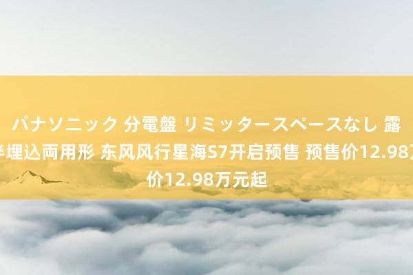 パナソニック 分電盤 リミッタースペースなし 露出・半埋込両用形 东风风行星海S7开启预售 预售价12.98万元起