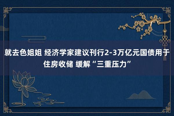 就去色姐姐 经济学家建议刊行2-3万亿元国债用于住房收储 缓解“三重压力”