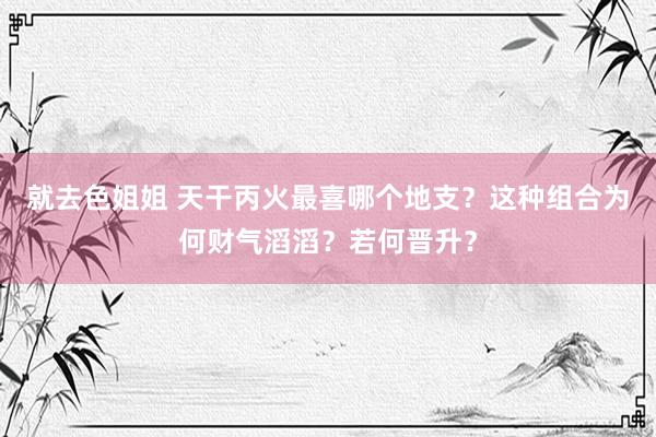 就去色姐姐 天干丙火最喜哪个地支？这种组合为何财气滔滔？若何晋升？