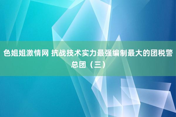 色姐姐激情网 抗战技术实力最强编制最大的团税警总团（三）
